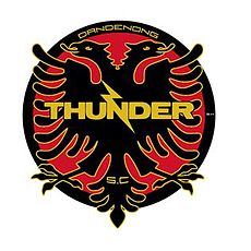 Dandenong Thunder
